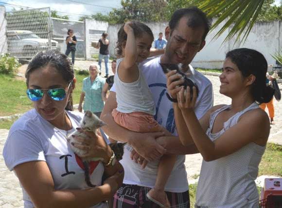 feira_adocao_animais