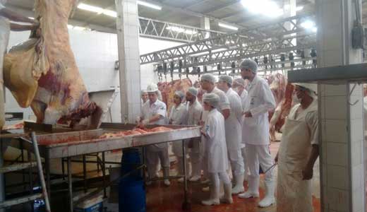 inspecao_carnes_cg